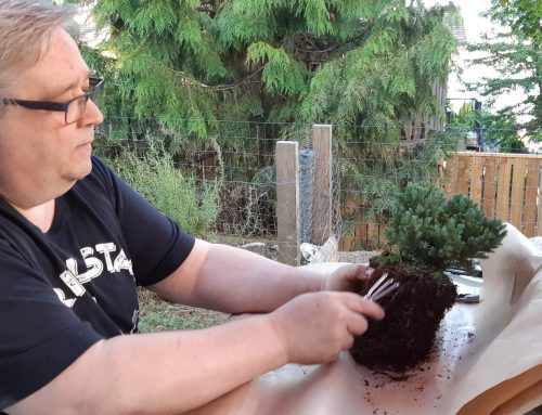 Faces of SelfDesign: Michael Bender, SelfDesign educator and MineCraft teacher lead, on listening, seeing, noticing and kindness