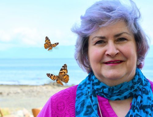 A lifelong passion for butterflies: A SelfDesign contractor shares her experience and expertise