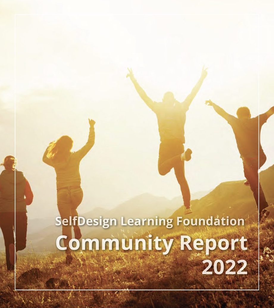 A Year Of Achievements Selfdesign S 2022 Community Report Selfdesign