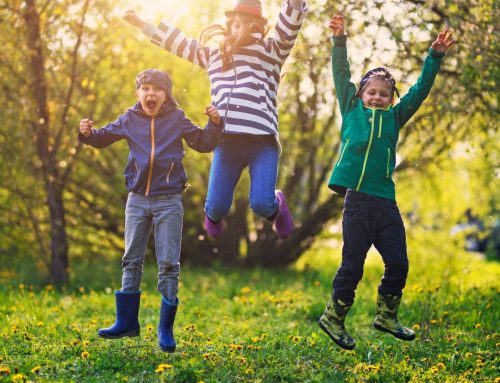 Sign up for the 2023–2024 learning year at SelfDesign: Key dates for our community