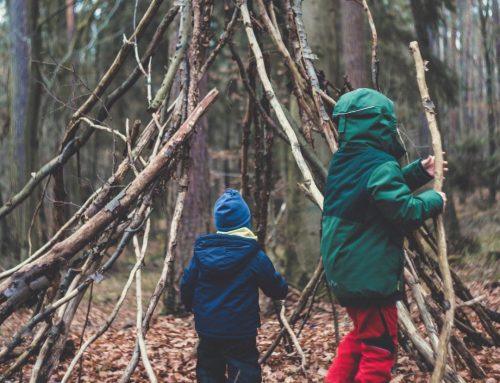 5 Ways to help your kids connect with nature