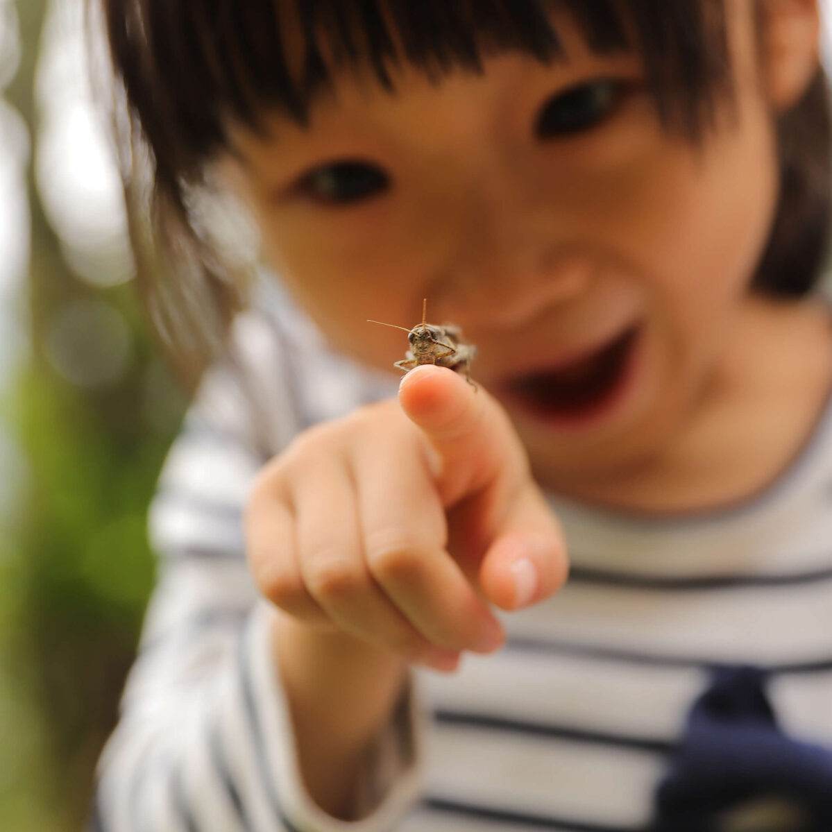 child-with-bumblebee-min