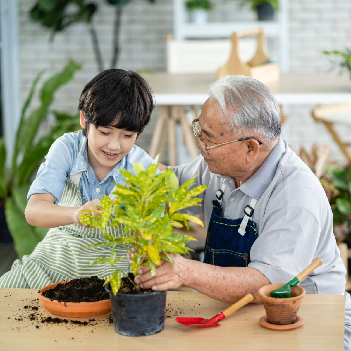 couple-gardening-min