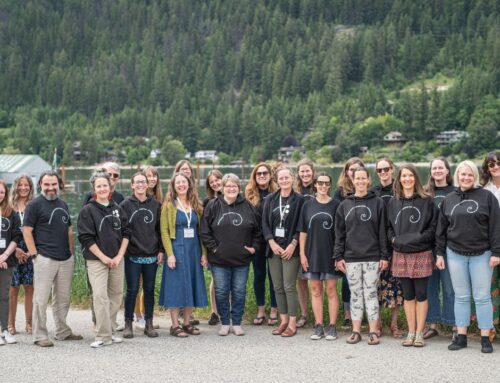 Reflecting on a year of growth and connection: SelfDesign’s 2024 Community Report