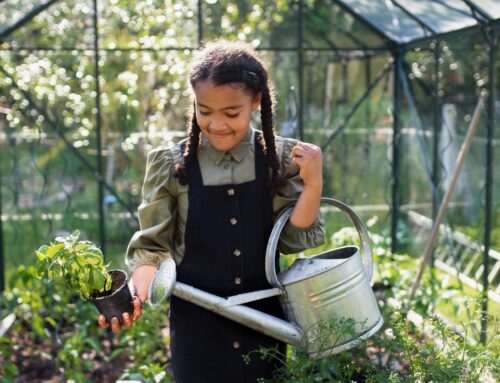 Everyday learning moments: How children learn through life itself