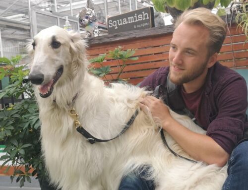 Turning real-life experience into meaningful work: Hayden’s story