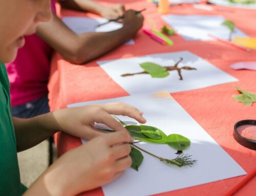 Spring into learning – inside and outside!